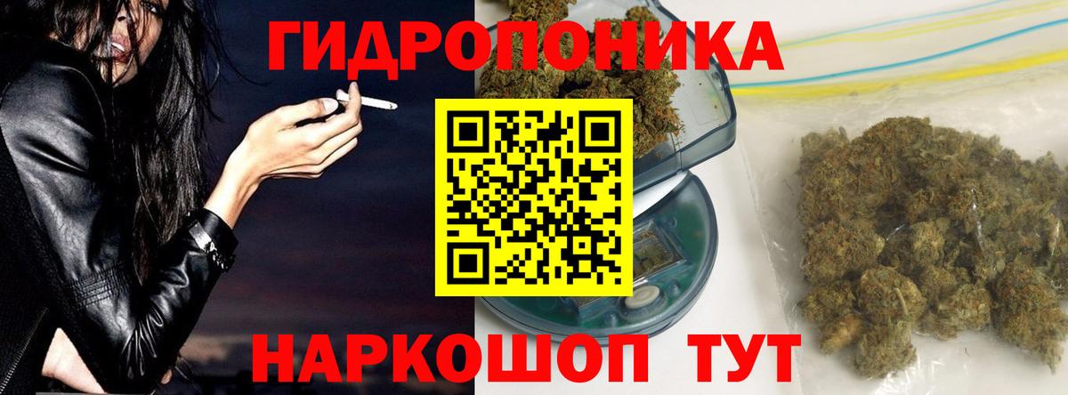 Клинцы  Каннабис ГИДРОПОН  МАРИХУАНА сатива  Вход с VPN  Марихуана White Widow 